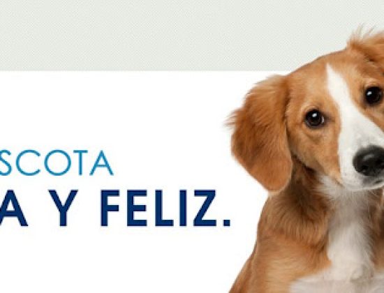 Veterinaria La Jungla