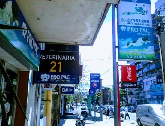 Veterinaria 21