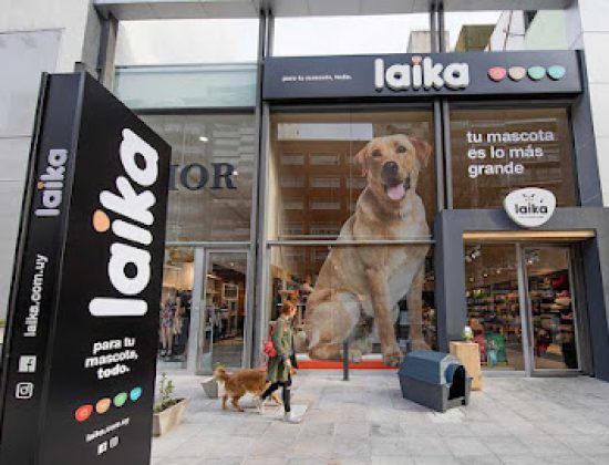 Laika | Punta Carretas