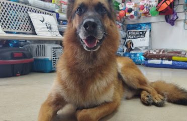 Veterinaria Pink Panther Uruguay