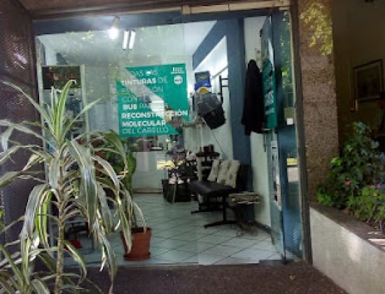 Oscar pintos peluqueros