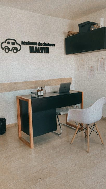 Academia Malvin — Academia de choferes en Punta Gorda