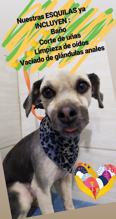 Animarket Uy — Veterinaria en Centro