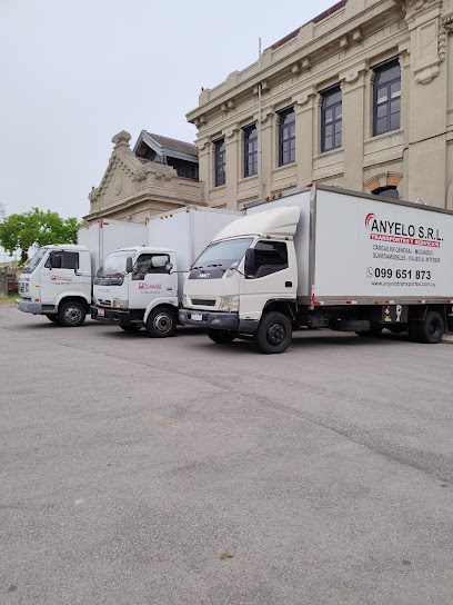 Anyelo Transportes – Fletes, Mudanzas, Almacenaje — Servicio de fletes en Reducto