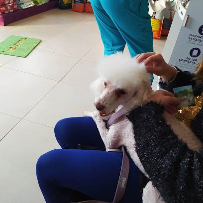 Artemisa Veterinaria