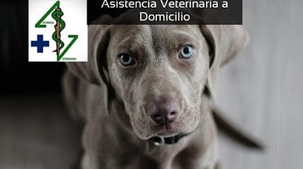 AsistVet — Veterinaria en Peñarol