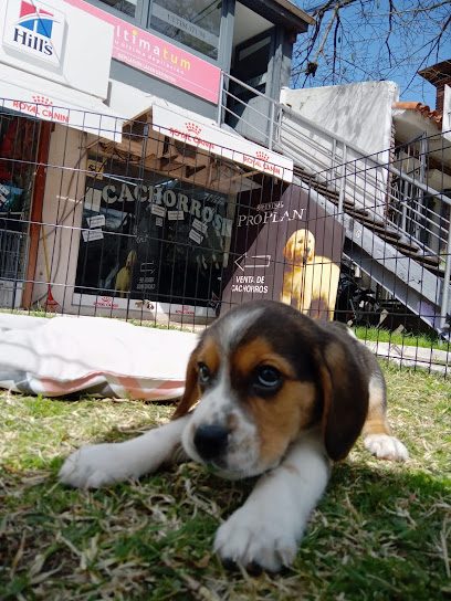 Calypso Pet’s Shop — Veterinaria en Carrasco Calypso Pet’s Shop — Veterinaria en Carrasco