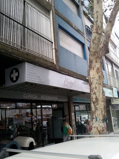 Clinica Veterinaria Lo de Mishka — Veterinaria en Cordón