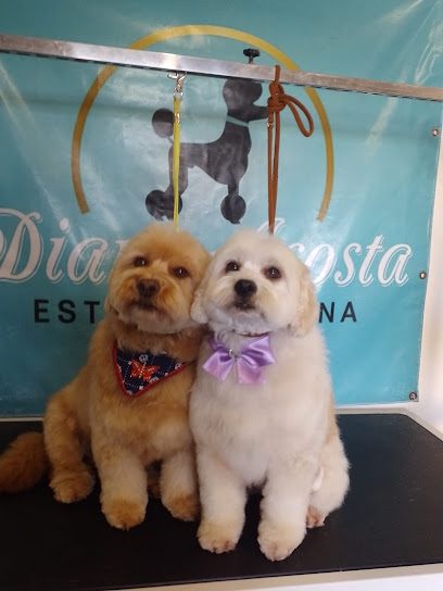 Diane Acosta Estética Canina