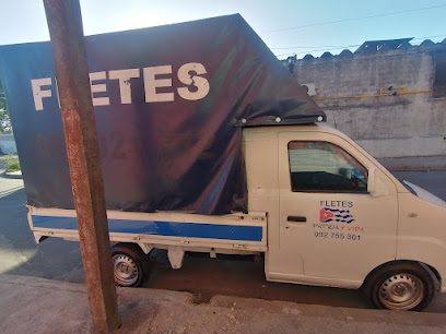Empresas FLETES y mudanzas Patria y vida. — Servicio de fletes en Jardines del Hipódromo