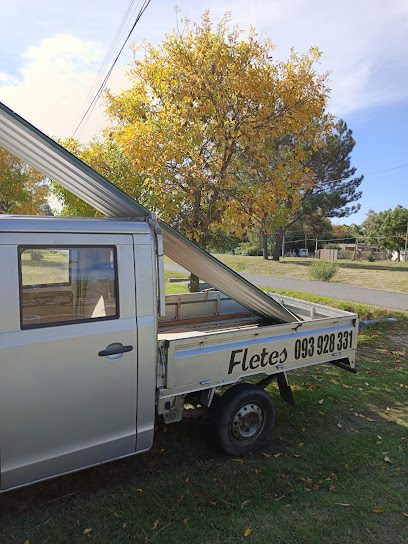 Fletes Costa A Costa — Servicio de fletes en El Pinar