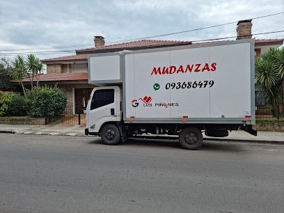 Fletes y Mudanzas Los Piñones — Servicio de fletes en Cordón