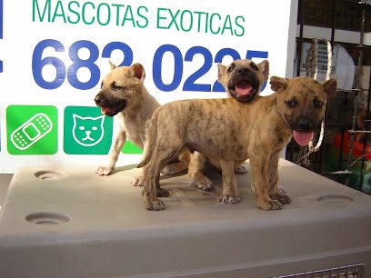 Guarderia, Veterinaria Arambillete dos Santos — Veterinaria en Parque de Carrasco Guarderia, Veterinaria Arambillete dos Santos — Veterinaria en Parque de Carrasco