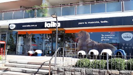 Laika | Pocitos — Veterinaria en Pocitos