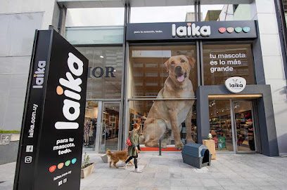 Laika | Punta Carretas — Veterinaria en Punta Carretas