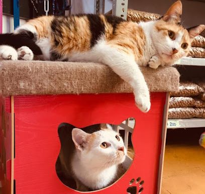 Novavet — Veterinaria en Cordón