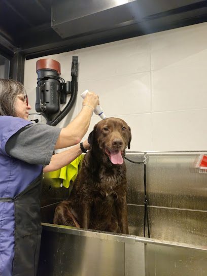 SUCAN Pocitos — Veterinaria en Buceo