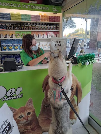 Ser Animal — Veterinaria en Punta Gorda