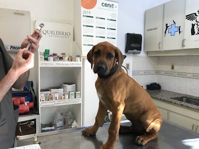 Shopping-Vet — Veterinaria en Buceo