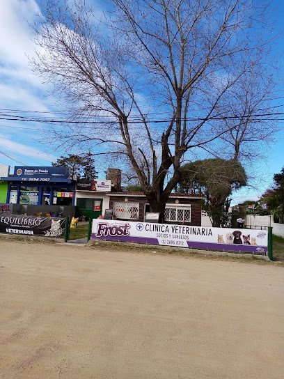 Socios y sabuesos — Veterinaria en Lomas de Solymar