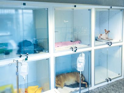 VEA (Veterinarios en Acción) / URGENCIAS — Veterinaria en Buceo