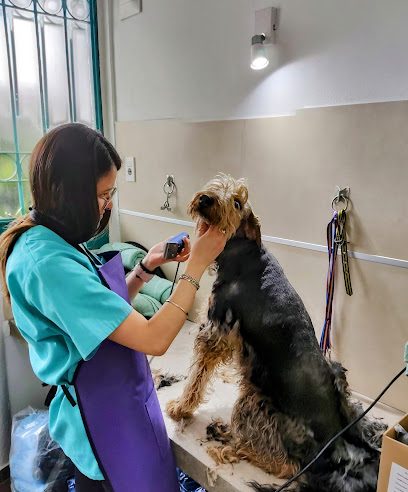 VETERINARIA BABÚ — Veterinaria en Brazo Oriental