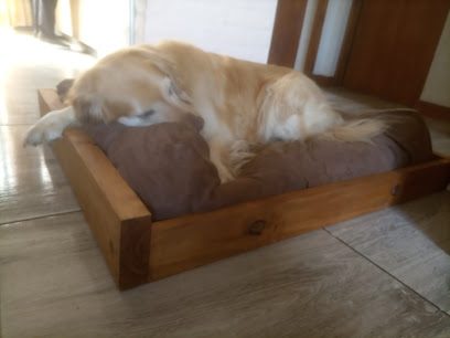 Vet LADRADOC — Veterinaria en El Pinar