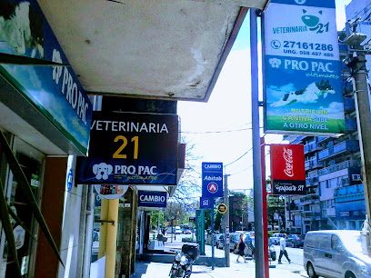 Veterinaria 21 — Veterinaria en Punta Carretas