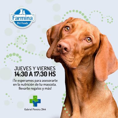 Veterinaria Agro Uruguay — Veterinaria en Pocitos
