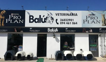 Veterinaria Balú Shangrila — Veterinaria en Shangrila
