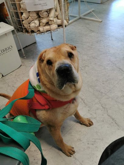 Veterinaria Cálice — Veterinaria en Cordón