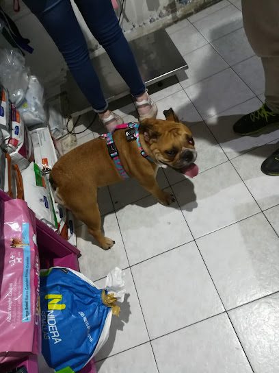 Veterinaria Centenario — Veterinaria en Parque Batlle