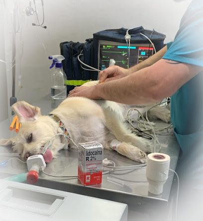 Veterinaria De La Costa