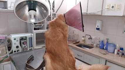 Veterinaria Del Litoral — Veterinaria en Parque Batlle