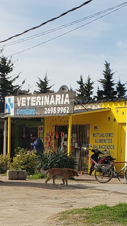 Veterinaria Don Gato — Veterinaria en El Pinar