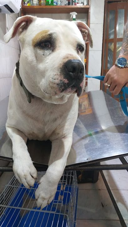 Veterinaria “El Rodeo”