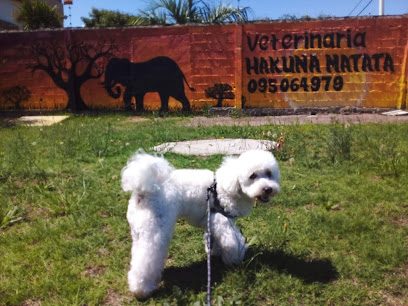 Veterinaria Hakuna Matata
