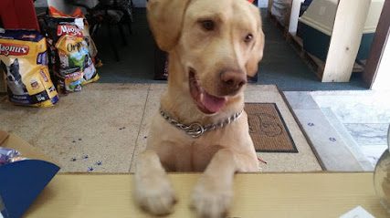 Veterinaria Kamunda — Veterinaria en Pocitos