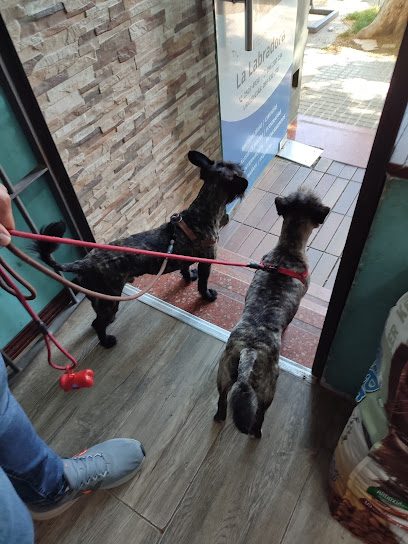 Veterinaria La Labradora — Veterinaria en Unión
