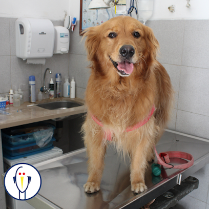 Veterinaria Las Garzas — Veterinaria en Tres Cruces