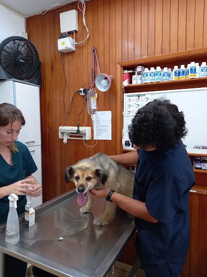 Veterinaria Miramar — Veterinaria en Parque Batlle