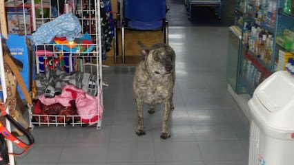 Veterinaria Pet Planet — Veterinaria en Malvín