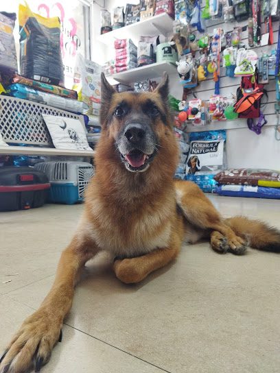 Veterinaria Pink Panther Uruguay — Veterinaria en Tres Cruces
