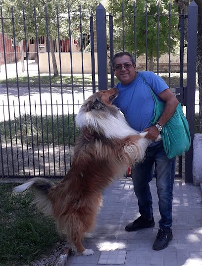 Veterinaria Quirón — Veterinaria en Aires Puros Veterinaria Quirón — Veterinaria en Aires Puros