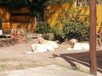 Veterinaria Real de Azúa