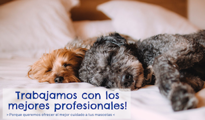 Veterinaria Santa Monica — Veterinaria en Carrasco Norte Veterinaria Santa Monica — Veterinaria en Carrasco Norte