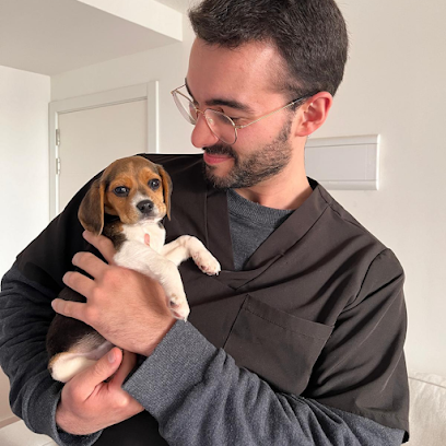 Veterinario Dr. Sebastián Fidalgo — Veterinaria en Peñarol