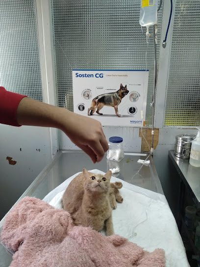Veterinary St. Lucia — Veterinaria en Nuevo París