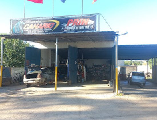 Gomeria “el canario”