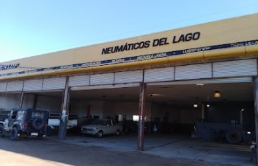 Neumáticos Del Lago
